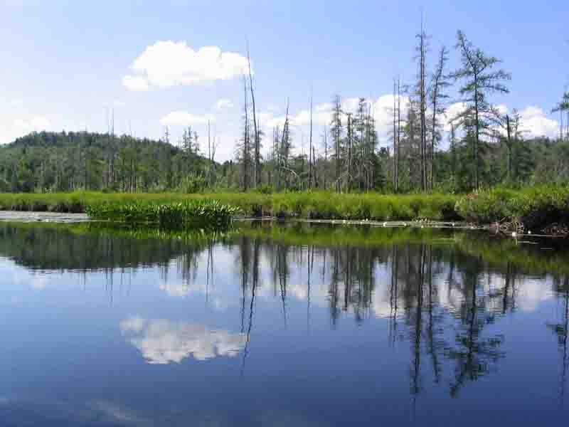 Adirondacks
